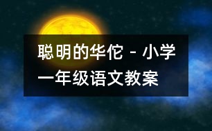 聰明的華佗 - 小學(xué)一年級(jí)語文教案