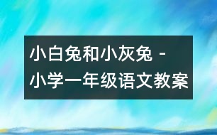 小白兔和小灰兔 - 小學(xué)一年級語文教案