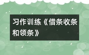 （習(xí)作訓(xùn)練）《借條、收條和領(lǐng)條》