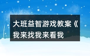 大班益智游戲教案《我來找、我來看、我來玩》