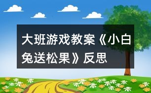 大班游戲教案《小白兔送松果》反思