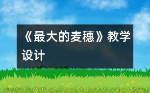 《最大的麥穗》教學(xué)設(shè)計