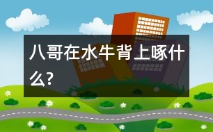 八哥在水牛背上啄什么?