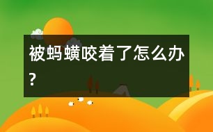 被螞蟥咬著了怎么辦?