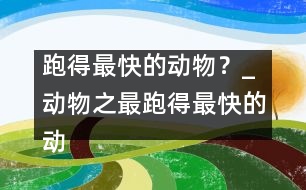 跑得最快的動物？_動物之最：跑得最快的動物？
