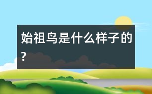 始祖鳥是什么樣子的?