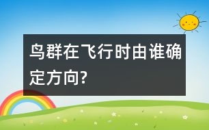 鳥(niǎo)群在飛行時(shí)由誰(shuí)確定方向?