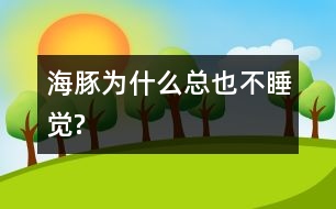 海豚為什么總也不睡覺(jué)?