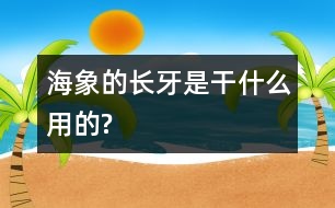 海象的長牙是干什么用的?