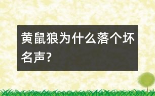 黃鼠狼為什么落個(gè)壞名聲?