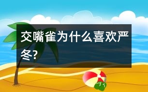 交嘴雀為什么喜歡嚴冬?