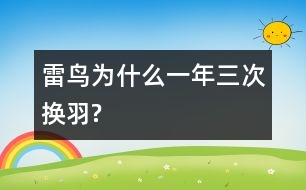 雷鳥為什么一年三次換羽?