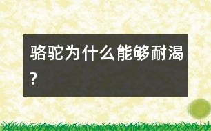 駱駝為什么能夠耐渴?