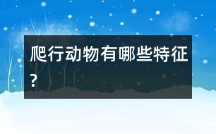 爬行動物有哪些特征?