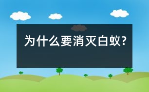 為什么要消滅白蟻?