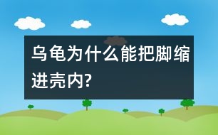 烏龜為什么能把腳縮進殼內(nèi)?