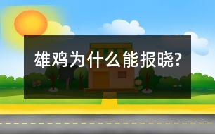 雄雞為什么能報(bào)曉?