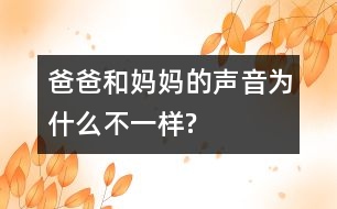 爸爸和媽媽的聲音為什么不一樣?