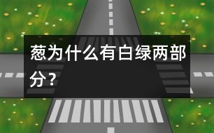 蔥為什么有白、綠兩部分？