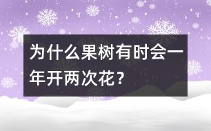 為什么果樹有時(shí)會(huì)一年開兩次花？