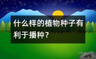 什么樣的植物種子有利于播種？