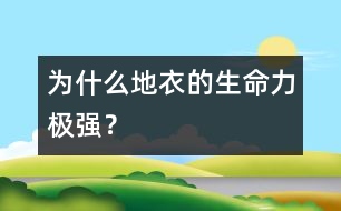 為什么地衣的生命力極強？