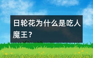 日輪花為什么是“吃人魔王”？