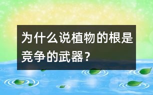 為什么說植物的根是競爭的武器？