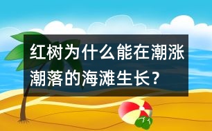 紅樹為什么能在潮漲潮落的海灘生長(zhǎng)？