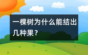 一棵樹為什么能結(jié)出幾種果？