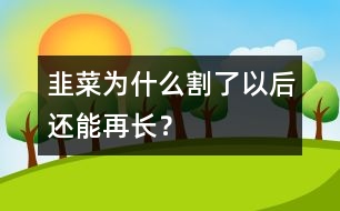 韭菜為什么割了以后還能再長？