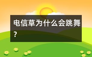 電信草為什么會跳舞？