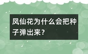 鳳仙花為什么會(huì)把種子彈出來(lái)？