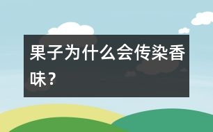 果子為什么會傳染香味？