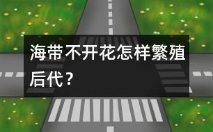 海帶不開花怎樣繁殖后代？