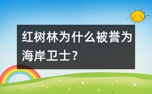 紅樹林為什么被譽為“海岸衛(wèi)士”？