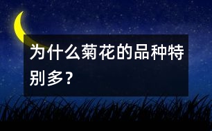 為什么菊花的品種特別多？