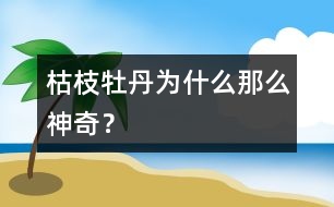 枯枝牡丹為什么那么神奇？