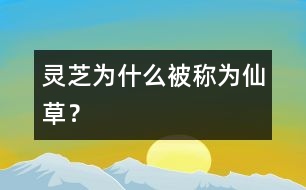 靈芝為什么被稱為“仙草”？