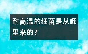 耐高溫的細菌是從哪里來的？