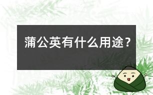 蒲公英有什么用途？