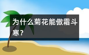 為什么菊花能傲霜斗寒？