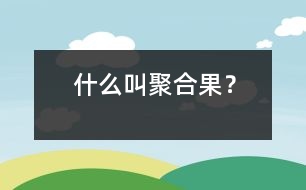 什么叫聚合果？