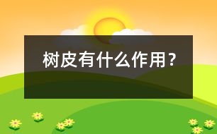 樹(shù)皮有什么作用？