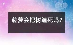 藤蘿會(huì)把樹纏死嗎？