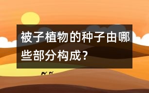 被子植物的種子由哪些部分構(gòu)成？