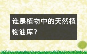 誰是植物中的“天然植物油庫”？