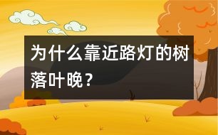 為什么靠近路燈的樹落葉晚？