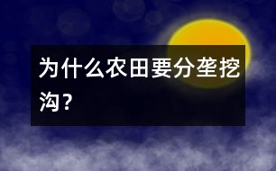為什么農(nóng)田要分壟挖溝？