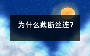 為什么藕斷絲連？